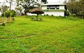 Туры в отель Punarjani Ayurvedic Resorts