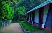 Туры в отель Punarjani Ayurvedic Resorts