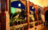 Туры в отель The Kothi Heritage