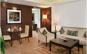 Туры в отель Golden Tulip Srinagar