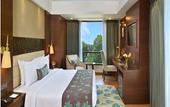 Туры в отель Golden Tulip Srinagar
