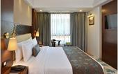 Туры в отель Golden Tulip Srinagar