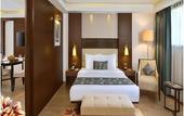 Туры в отель Golden Tulip Srinagar