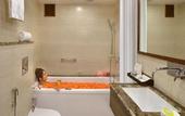 Туры в отель Golden Tulip Srinagar