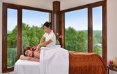 Туры в отель Golden Tulip Srinagar