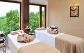 Туры в отель Golden Tulip Srinagar