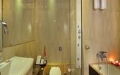 Туры в отель Golden Tulip Srinagar