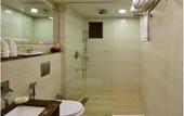 Туры в отель Golden Tulip Srinagar
