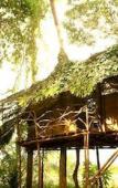 Туры в отель Saraya Art Cafe B&B