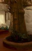 Туры в отель Saraya Art Cafe B&B