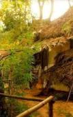 Туры в отель Saraya Art Cafe B&B