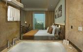 Туры в отель Radisson Blu Kaushambi Delhi NCR