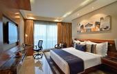 Туры в отель Radisson Blu Kaushambi Delhi NCR