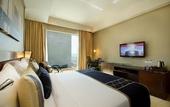Туры в отель Radisson Blu Kaushambi Delhi NCR