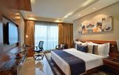 Туры в отель Radisson Blu Kaushambi Delhi NCR