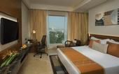 Туры в отель Radisson Blu Kaushambi Delhi NCR