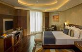 Туры в отель Radisson Blu Kaushambi Delhi NCR