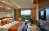 Туры в отель Radisson Blu Kaushambi Delhi NCR