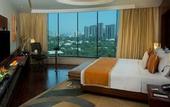 Туры в отель Radisson Blu Kaushambi Delhi NCR