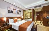 Туры в отель Radisson Blu Kaushambi Delhi NCR