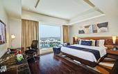 Туры в отель Radisson Blu Kaushambi Delhi NCR