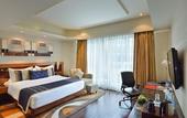 Туры в отель Radisson Blu Kaushambi Delhi NCR