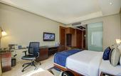 Туры в отель Radisson Blu Kaushambi Delhi NCR