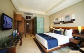 Туры в отель Radisson Blu Kaushambi Delhi NCR