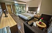 Туры в отель The Grand Bhagwati