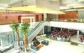 Туры в отель The Grand Bhagwati