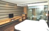 Туры в отель The Grand Bhagwati