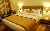 Туры в отель Bravia Hotel Manali Inn