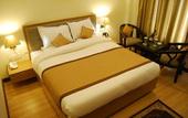 Туры в отель Bravia Hotel Manali Inn