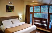 Туры в отель Bravia Hotel Manali Inn