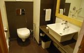 Туры в отель Bravia Hotel Manali Inn