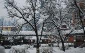 Туры в отель Bravia Hotel Manali Inn