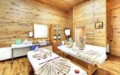 Туры в отель Bravia Hotel Manali Inn