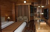 Туры в отель Bravia Hotel Manali Inn
