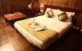 Туры в отель Hotel Krishna Sagar