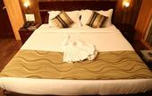 Туры в отель Hotel Krishna Sagar