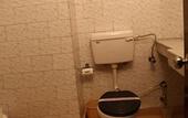 Туры в отель Hotel Krishna Sagar