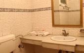 Туры в отель Hotel Krishna Sagar