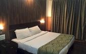 Туры в отель Hotel Krishna Sagar