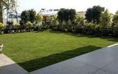 Туры в отель Ixora Suites