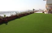 Туры в отель Silver Cloud Hotel & Banquets Ahmedabad