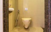 Туры в отель Treebo Sahara Shivaji Nagar