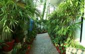 Туры в отель Dream Catcher Home Stay