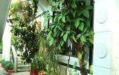 Туры в отель Dream Catcher Home Stay