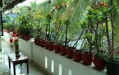 Туры в отель Dream Catcher Home Stay