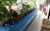 Туры в отель Dream Catcher Home Stay